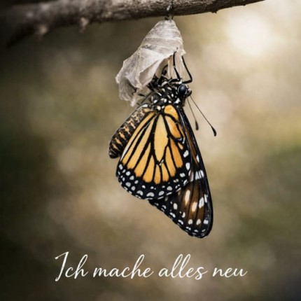 Ich mache alles neu (MP3)